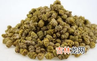 铁皮枫斗功效与作用,铁皮石斛有哪些功效?
