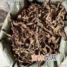 牛蒡茶多少钱一斤,牛蒡茶多少钱一斤