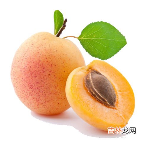 黄桃有哪些品种,黄桃的品种有哪些