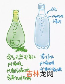 苏打水有气吗,我在超市买了一瓶是世罕泉天然苏打水,喝起来怎么没有气泡啊,苏打水不都是有气泡的吗?