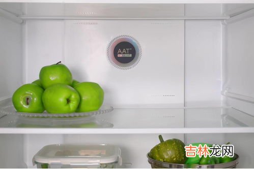 隔夜菠萝放冰箱能吃吗,菠萝可以隔夜吃不 菠萝可以放冰箱吗