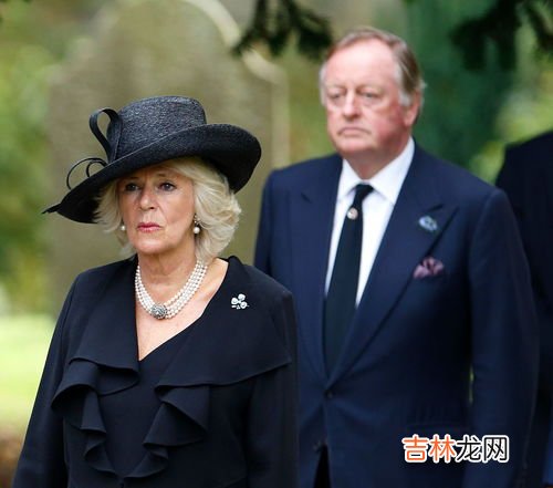 英国伴妃是什么,英国王室成员关系图
