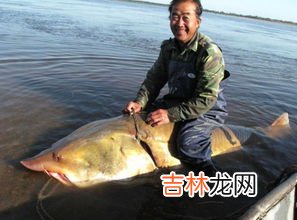 中华鲟能冻起来吃吗,中华鲟冷冻以后还好吃吗