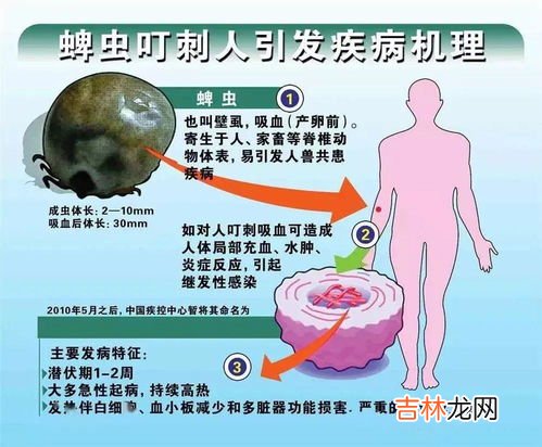 花露水能防蜱虫吗,花露水能预防蜱虫吗？