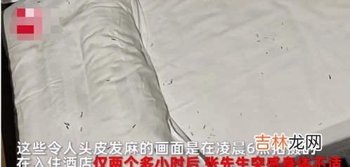 房间里有蜈蚣是什么原因,房间里面有蜈蚣是什么原因
