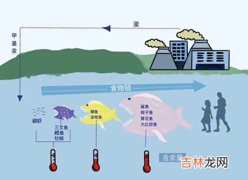 水银是有机物吗,水银是什么东西?