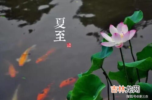 夏至指的是,夏至什么意思？是不是夏天的中间？