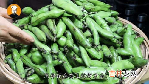 蚕豆怎么保存冷冻,蚕豆如何长期保存