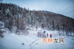 林海雪原203是什么意思,手钳上标203是什么意思