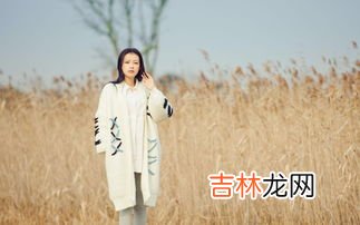 15年候鸟结局什么意思,电视剧十五年等待候鸟大结局是什么