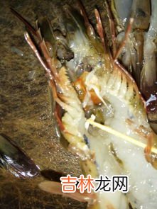 虾头有白色像虫子一样的是什么,虾头里挑出的白色东西是什么？