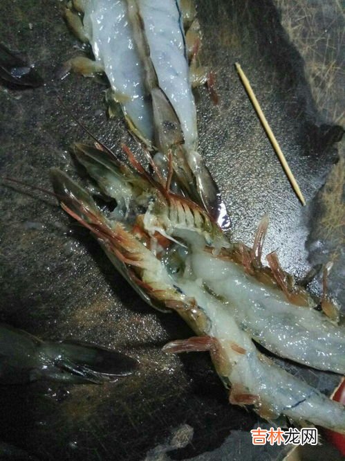 虾头有白色像虫子一样的是什么,虾头里挑出的白色东西是什么？