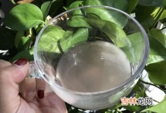 维安双菇能治胃病吗,维安双菇效果好不好？维安双菇真的可以治胃病？