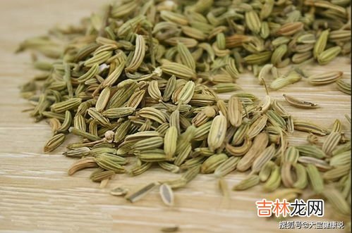 茴香有什么营养价值,茴香的营养价值有哪些