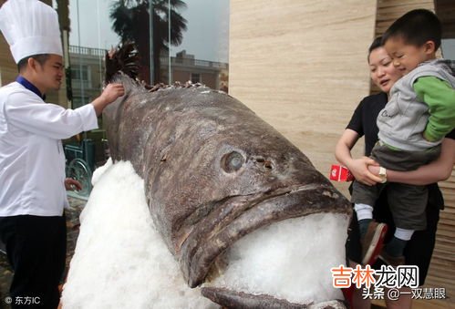 黑鳍的赃物怎么做,在尘泥沼泽中接的任务饿！怎么做呀，那鱼哪找去？