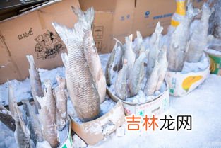 燕窝怕冻吗东北零下20度,燕窝怕冻吗