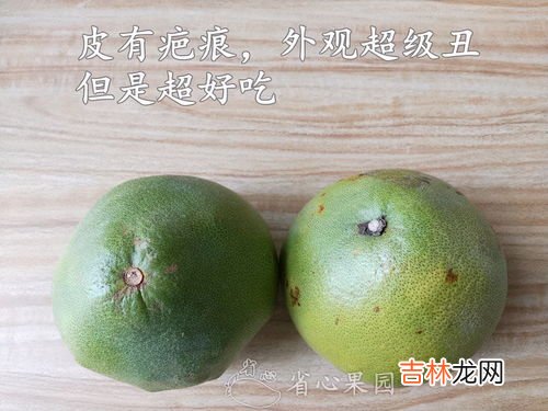 柚子苦是怎么回事,为什么有的柚子味道很苦?