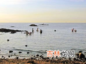 秦皇岛当地人在哪赶海,去秦皇岛玩，请问秦皇岛哪里赶海比较好?本地人去的地方？