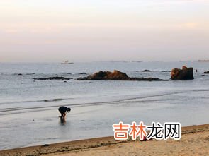 秦皇岛当地人在哪赶海,去秦皇岛玩，请问秦皇岛哪里赶海比较好?本地人去的地方？