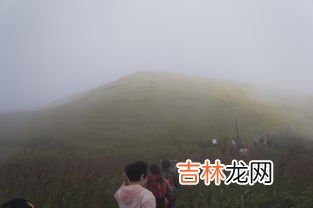 驴友是什么意思,驴友是什么意思?