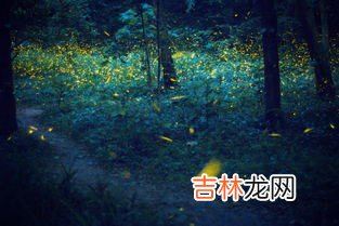 萤火虫为什么抓起来就不亮了,为什么我抓的萤火虫不发光了？