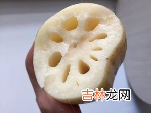 藕是碳水化合物吗,我想问一下藕片属于碳水化合物吗