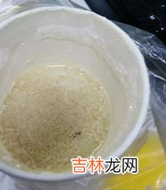 豆浆是溶液吗,牛奶和豆浆是溶液还是浊液