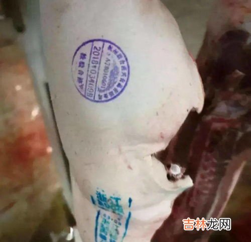 紫色章的猪肉是什么肉,猪肉章颜色代表什么 能吃吗?