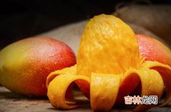 芒果可以冷冻保存吗,芒果能放冰箱冷冻室吗