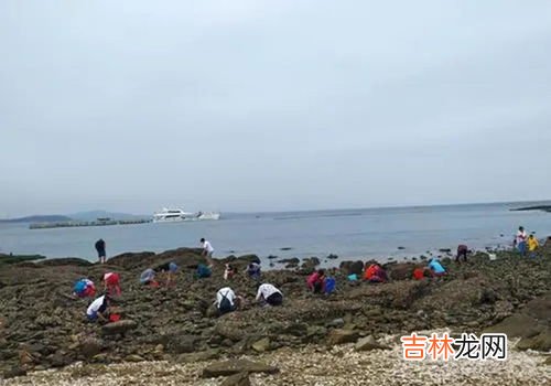 海水几点退潮,每日涨潮退潮时间表