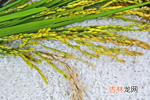 绿豆生虫子了还能吃吗,绿豆长虫了还可以吃吗