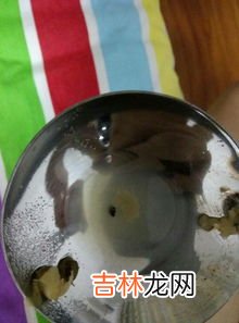 绿豆生虫子了还能吃吗,绿豆长虫了还可以吃吗