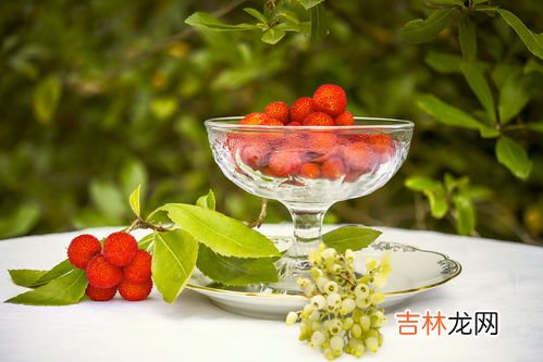 杨梅属于高糖水果吗,杨梅含糖量高吗？