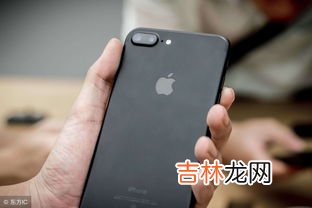 苹果13开了蜂窝数据还是没网,开了蜂窝数据还是没网应该怎么处理?