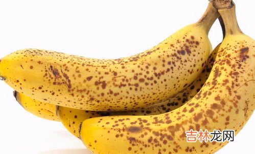 香蕉的味道不香是怎么回事,现在的香蕉为什么没有过去的香味了?