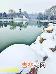 下雪对高速有影响吗,下雪高速封路吗？