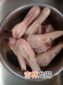 鸭头里面的脑浆能吃吗,鸭头吃多了有哪些危害 鸭头什么地方不能吃