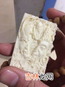 象牙果是什么东西,象牙果是什么东西?