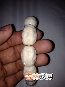 象牙果是什么东西,象牙果是什么东西?