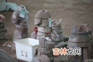 秦始皇陵兵马俑的外观结构,兵马俑外貌是什么样的？