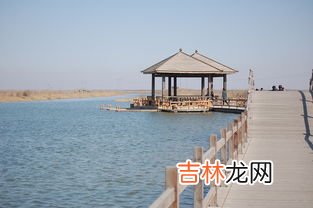 黄河入海口的沙洲主要形成原因,黄河入海口泥沙沉积的原因是什么