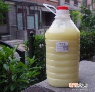 什么是色拉油,色拉油是什么