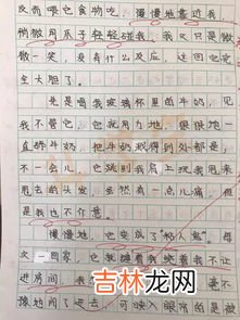 关于爱的作文300字,以爱为话题作文300字