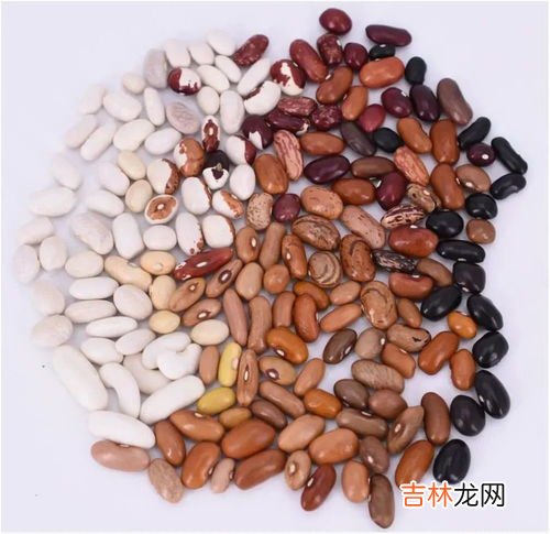 绿创想白芸豆阻断剂压片糖果有效吗,白芸豆压片糖果不想减肥的人能吃吗