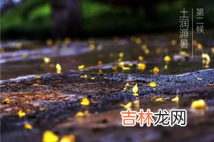 39句 关于秋雨的句子和段落,描写秋雨的句子