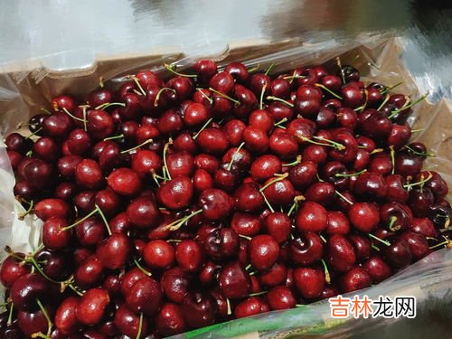 山姆蛋糕保质期多久,山姆会员店生日蛋糕可以不预定吗