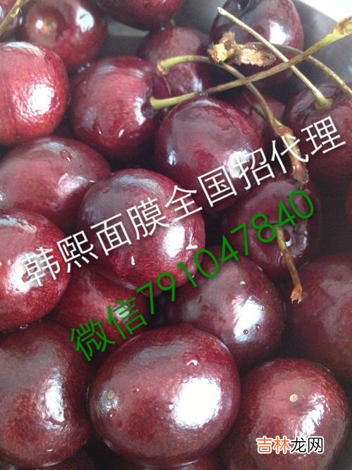 车厘子为啥有点苦,车厘子发苦是什么原因?