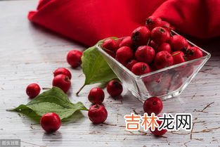 石决明和决明子一样吗,中药里面的“草决明”和“石决明”，有什么区别？