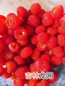 覆盆子放一年可以吃吗,覆盆子冬天可以吃吗