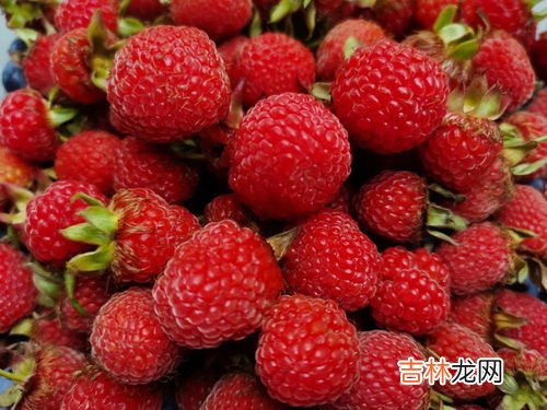 覆盆子放一年可以吃吗,覆盆子冬天可以吃吗